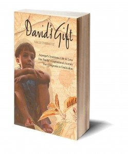 Davids Gift - book